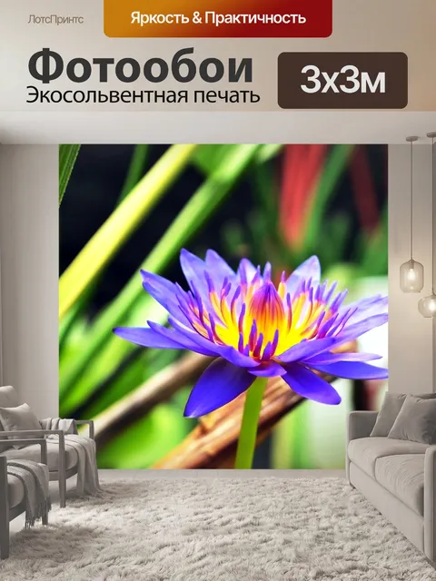 Фотообои Цветок