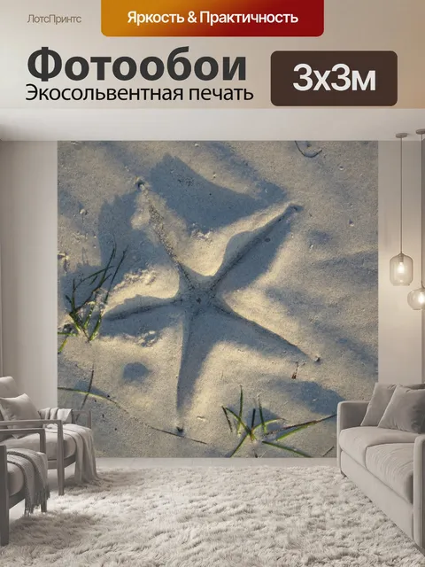 Фотообои Морская звезда