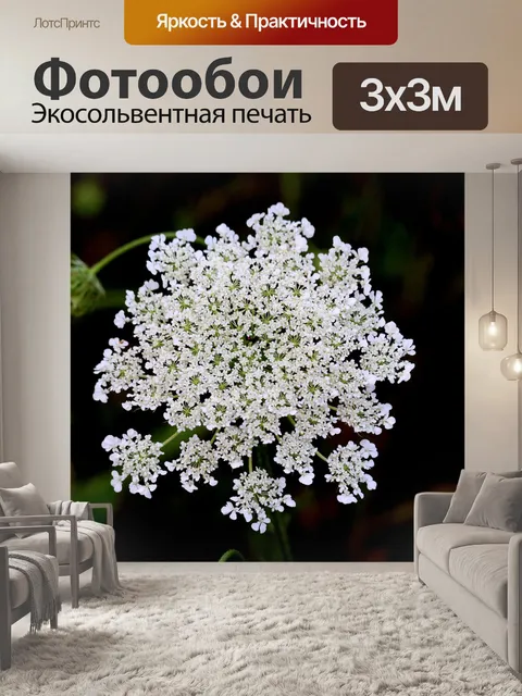 Фотообои Цветы