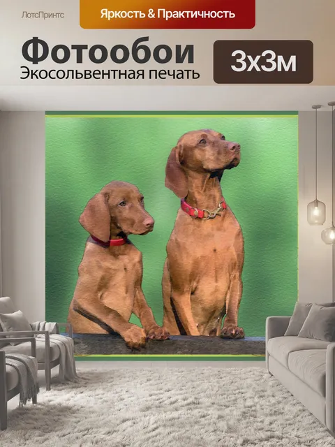 Фотообои Картина для рисования собак