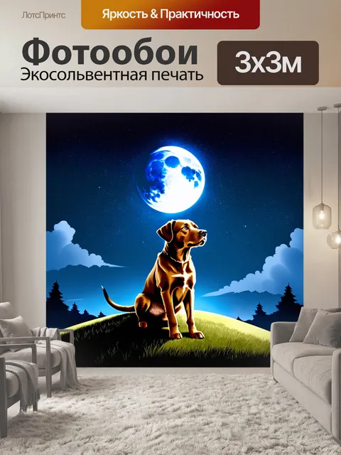 Фотообои создайте изображение коричневого лабрадора-ретривера, который наблюдает за звёздным небом на вершине холма