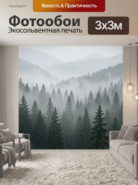 300 × 300 см · Экосольвентная печать