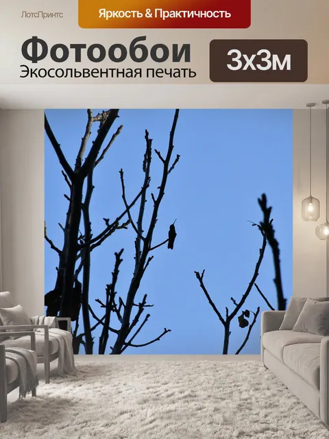 Фотообои Птица