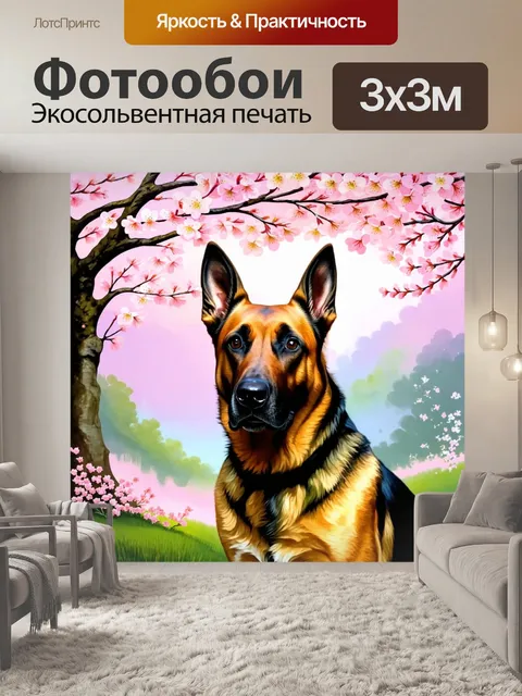 Фотообои создайте романтический пейзаж с бельгийской овчаркой малинуа на фоне цветущей вишни