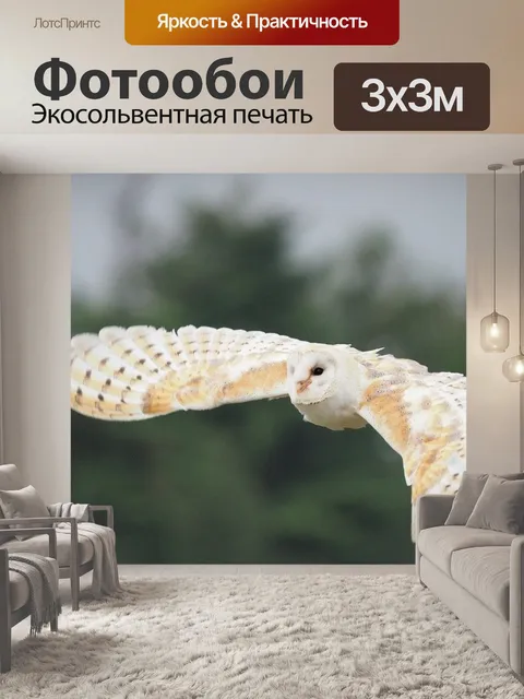 Фотообои Птица