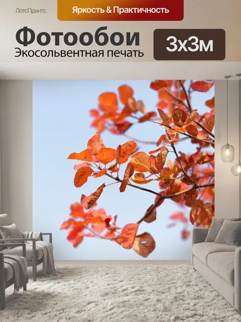 Фотообои Осень