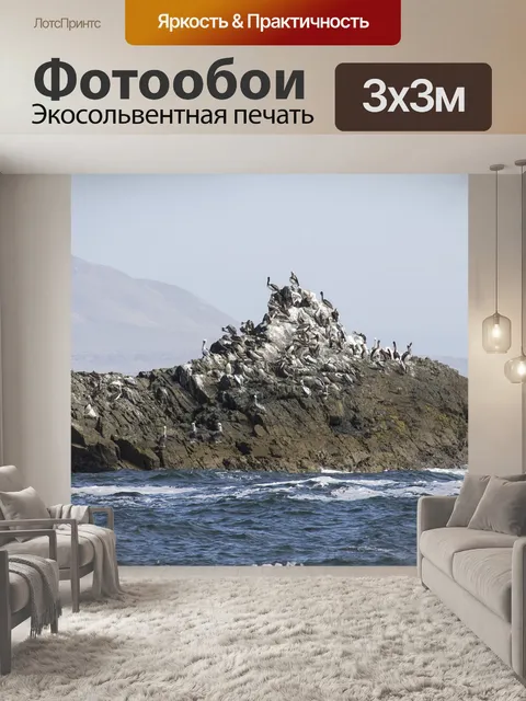 Фотообои Птицы