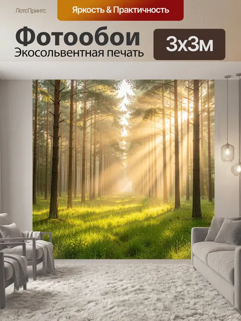 Фотообои Солнечный сосновый лес