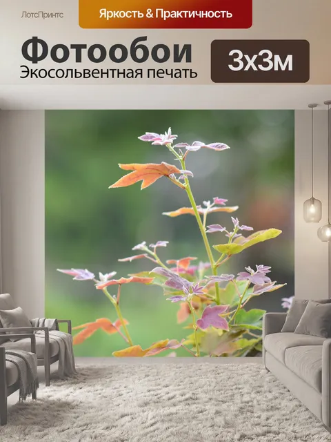 Фотообои Листья