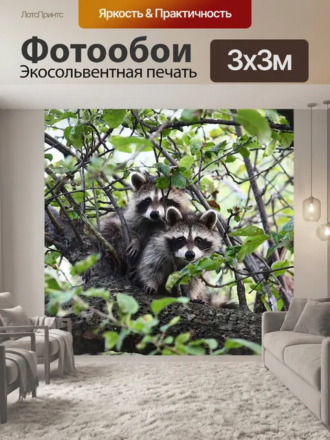 Фотообои Близнецы