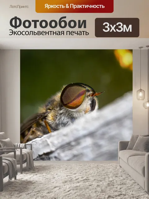 Фотообои Летать