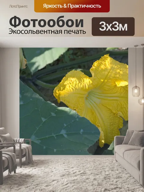 Фотообои Цветок