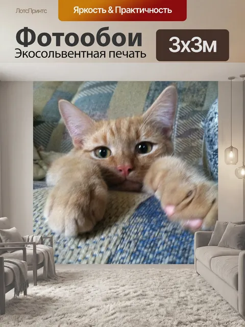 Фотообои Грустный кот