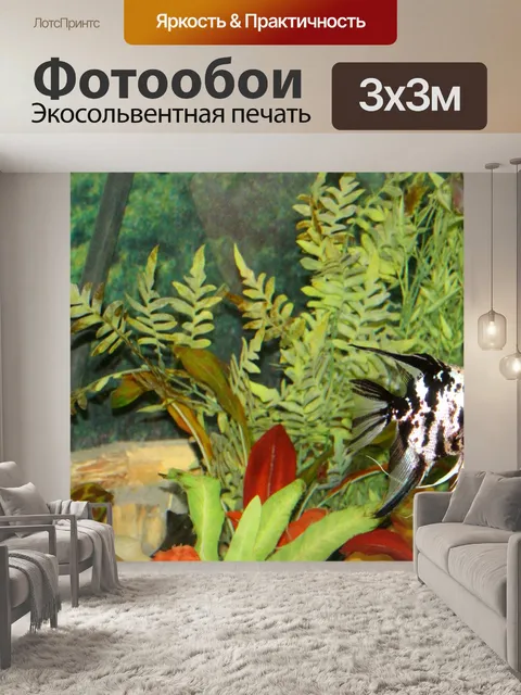 Фотообои Тропическая Рыба