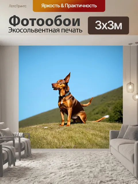 Фотообои пес с длинной хвостом, наслаждающийся ветерком на вершине холма