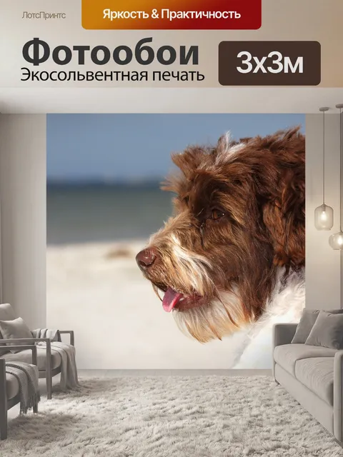 Фотообои Смешанные породы собак