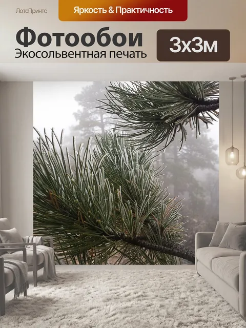 Фотообои Мороз
