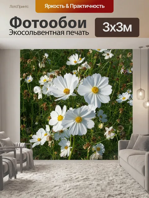Фотообои Цветок