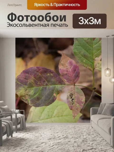 Фотообои Ядовитый плющ