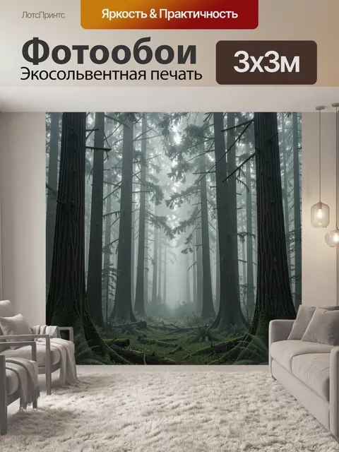 Фотообои Туманный лес с гигантскими секвойями