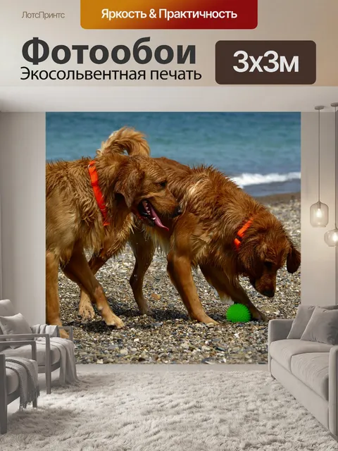 Фотообои Собаки