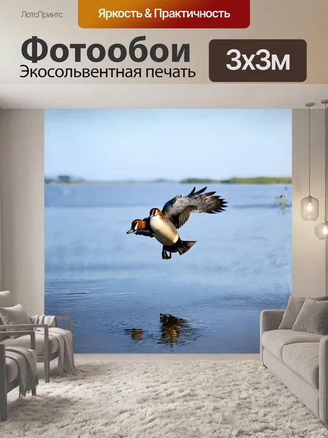 Фотообои огарь парит над озером, его крылья распахнуты в полете, создавая динамичную композицию