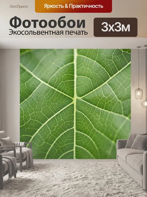 Фотообои Крупный план зеленого листа