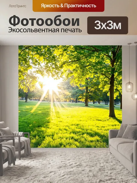 Фотообои солнечный день в парке, когда солнечные лучи пробиваются сквозь листву деревьев
