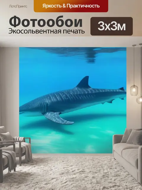Фотообои дельфины, играющие в мелководье рядом с пляжем