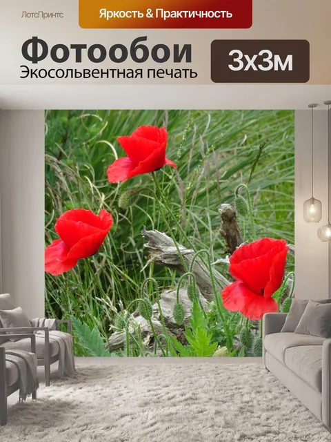 Фотообои Расцветает