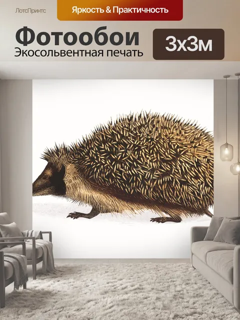 Фотообои Ежик винтаж арт старый
