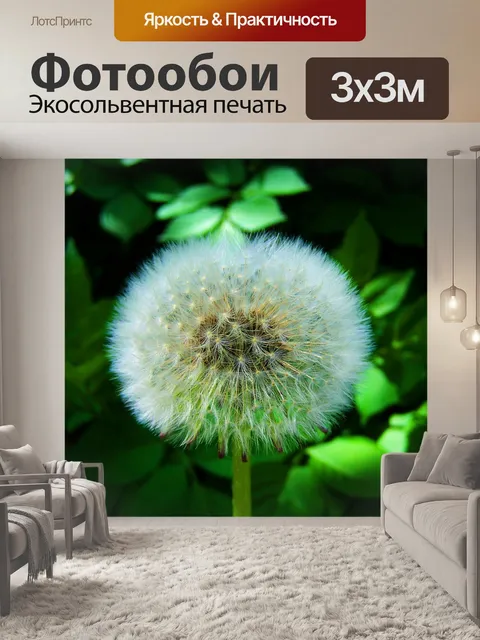 Фотообои Распустившийся халат с одуванчиками