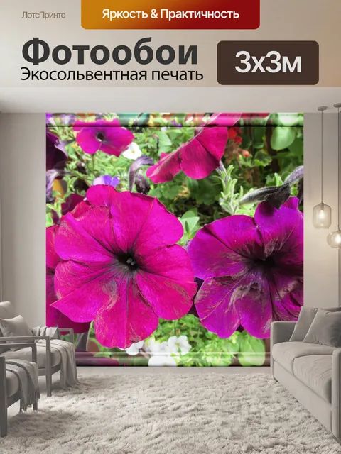 Фотообои Красивые цветы