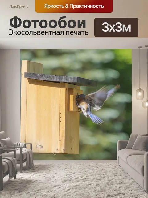 Фотообои Синяя птица