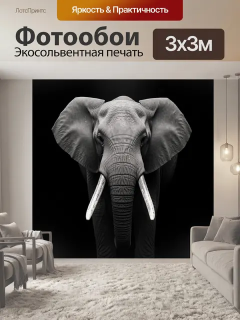 Фотообои Африканский слон на чёрном фоне