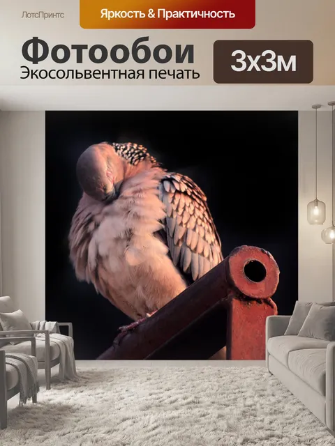 Фотообои Пятнистый голубь 12