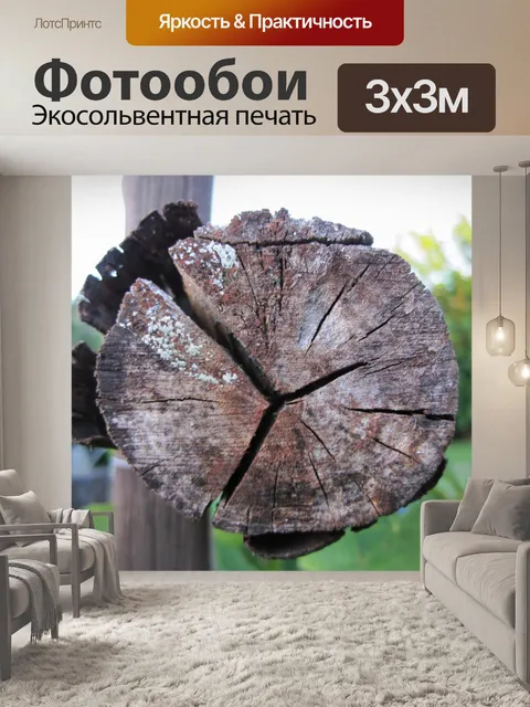 Фотообои конец поддержки полюса
