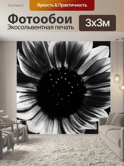 Фотообои Черное и белое