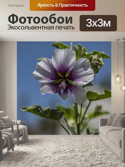 Фотообои Нежный фиолетовый цветок и небо