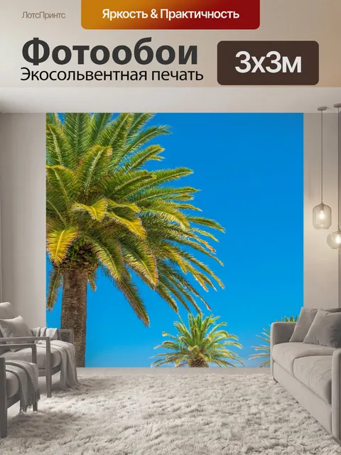 Фотообои Пальмы и голубое небо