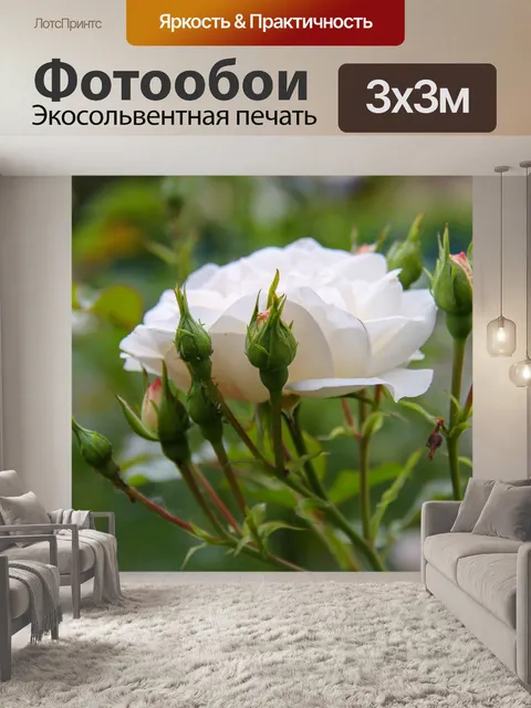Фотообои Розовый