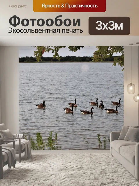 Фотообои Канадские гуси плывут к берегу озера