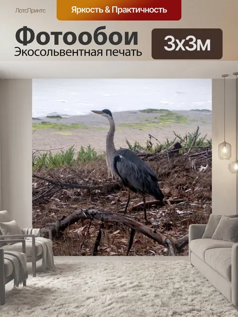 Фотообои Голубая цапля