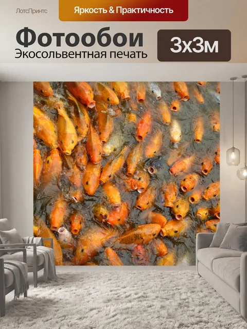 Фотообои Кои