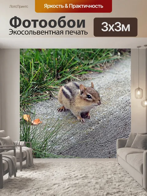 Фотообои Любопытный Бурундук
