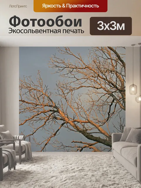 Фотообои свет на голых ветвях