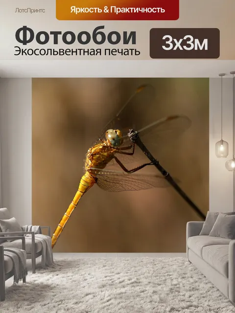 Фотообои Стрекоза