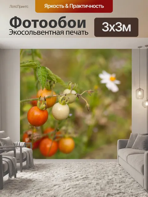 Фотообои Помидор