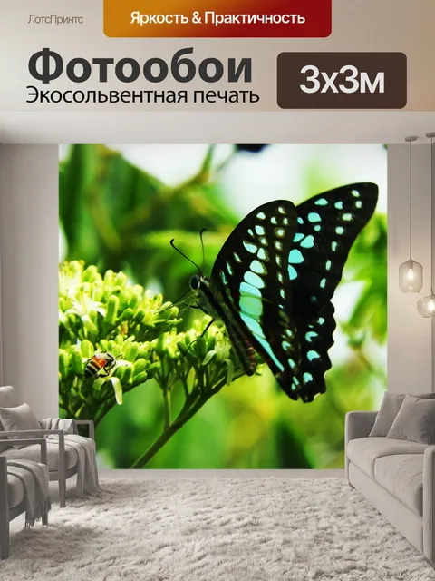 Фотообои Бабочка