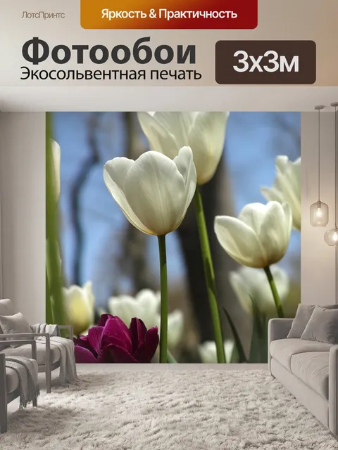 Фотообои Белый